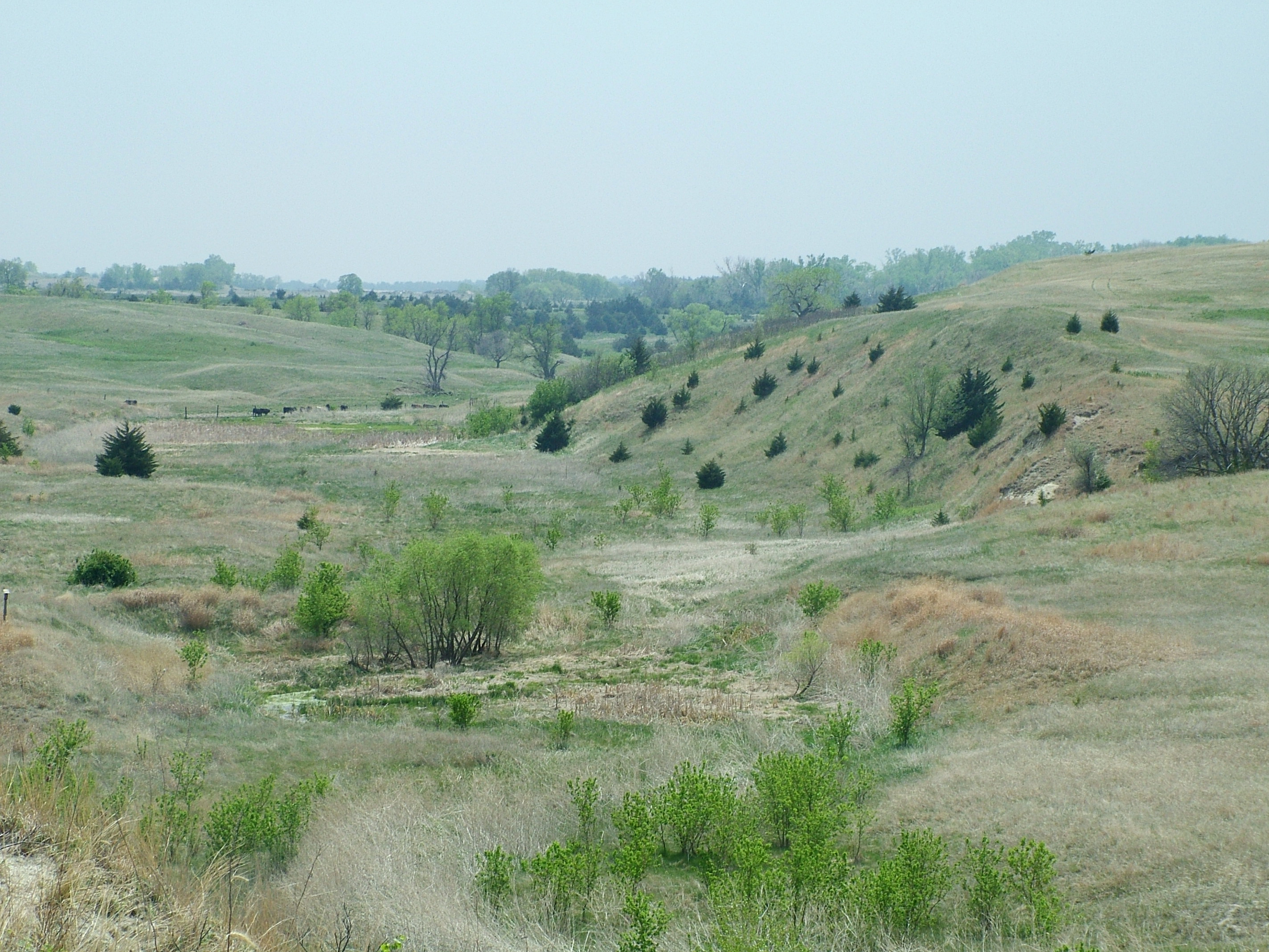 Ashfall Fossil Beds State Historical Park