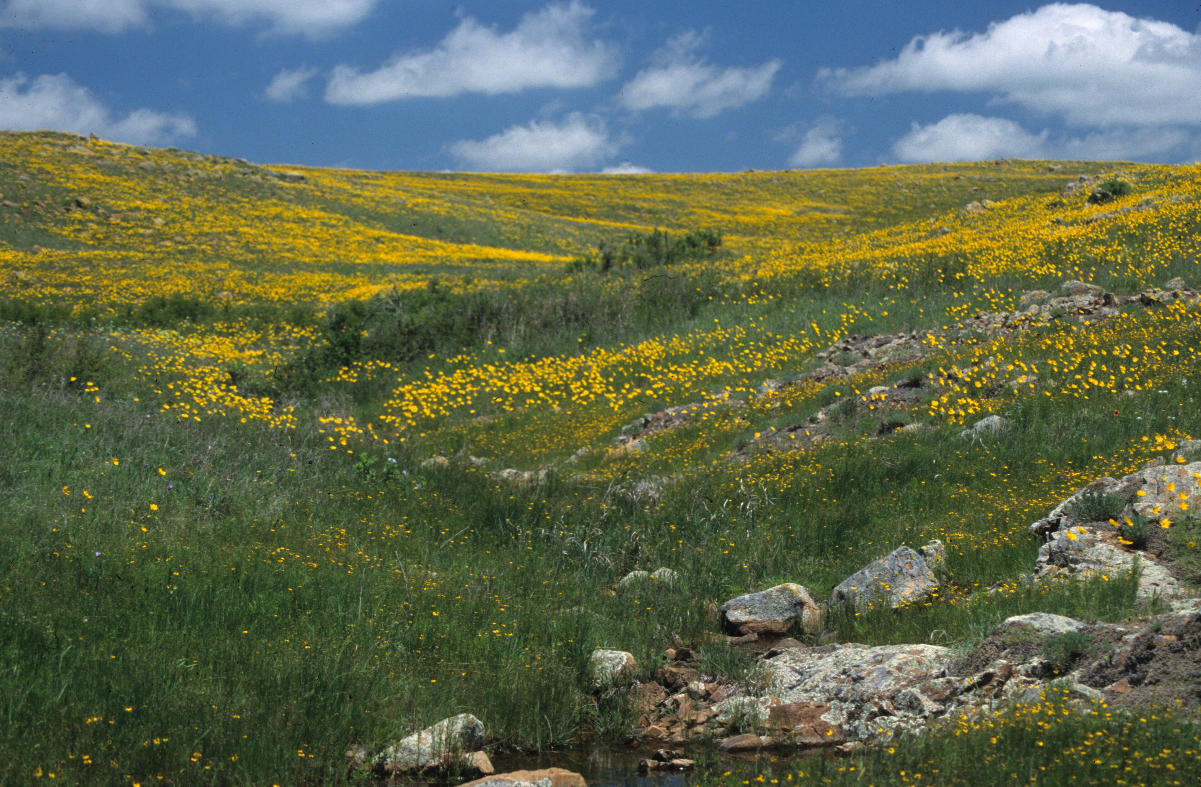 Wichita Mountains Wildlife Refuge