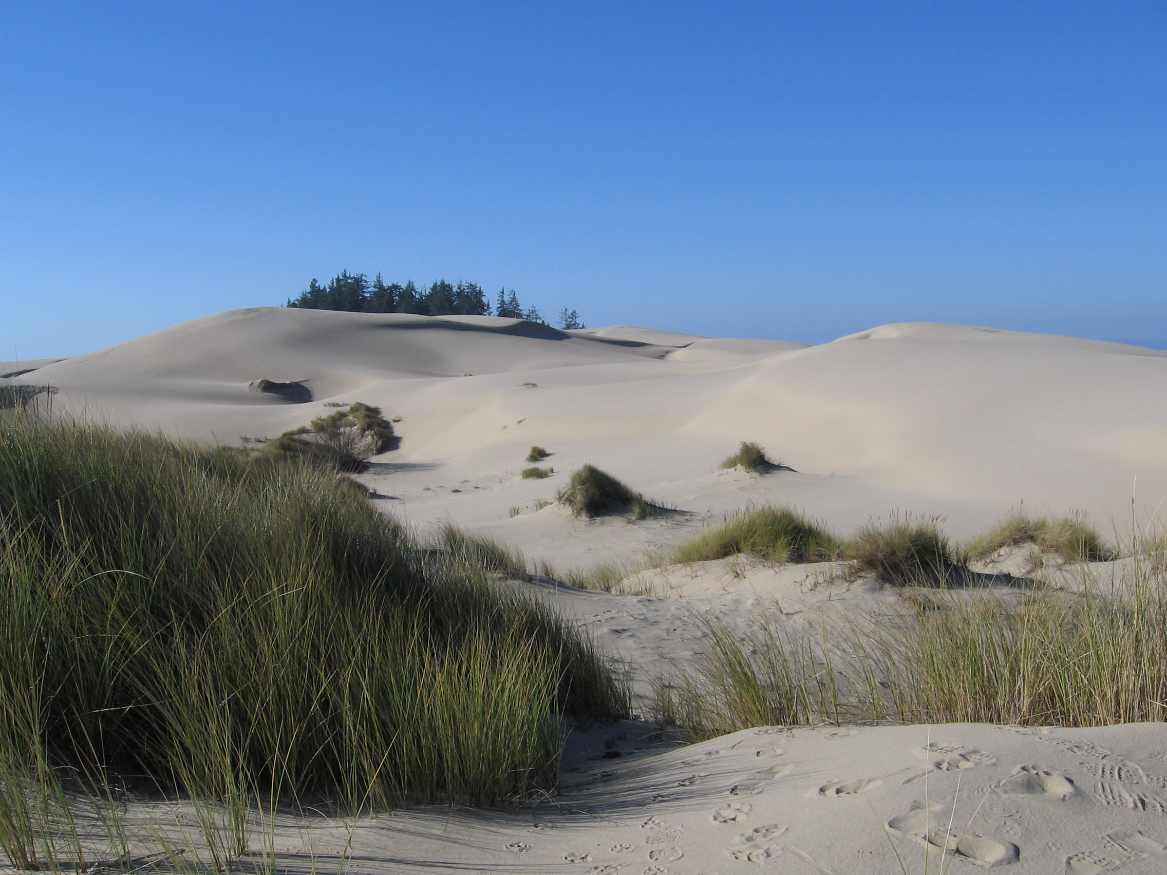 Oregon Dunes National Recreation Area