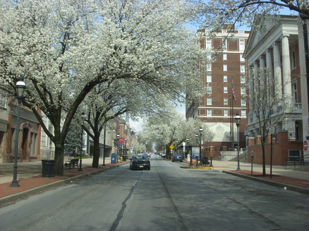 York