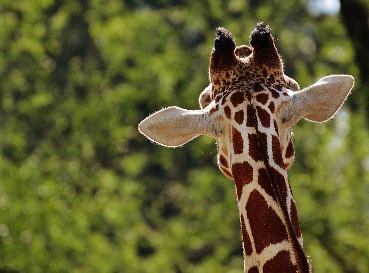 Roger Williams Park Zoo