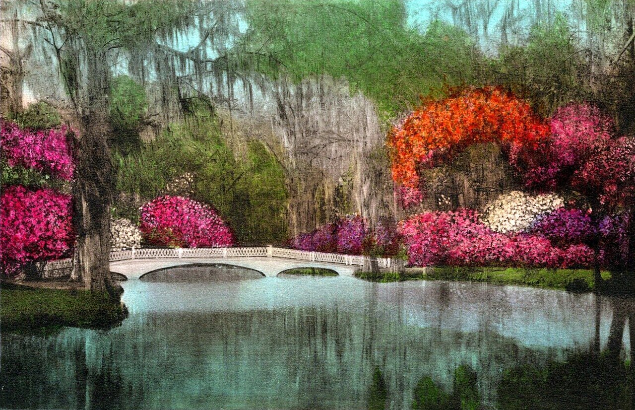 Magnolia Plantation and Gardens