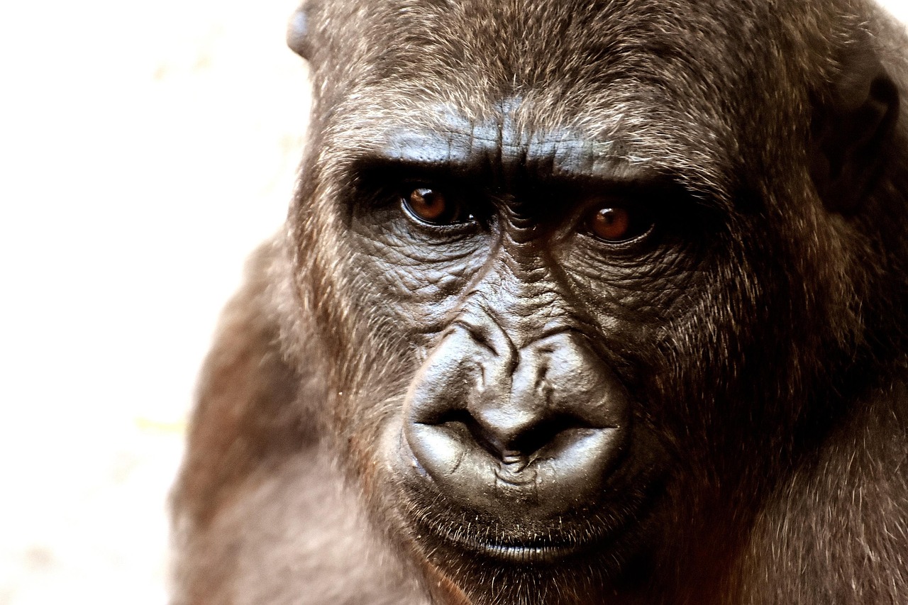 Milwaukee County Zoo
